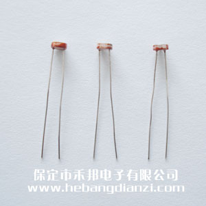 �������5539