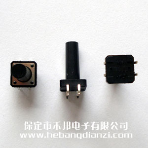 輕觸開(kāi)關(guān)12*12*22mm