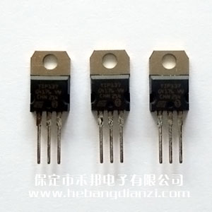 TIP137 �_���D�� �M��