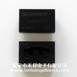 隔離變送器 TM6630CP