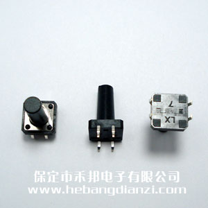 輕觸開(kāi)關(guān)12*12*19mm