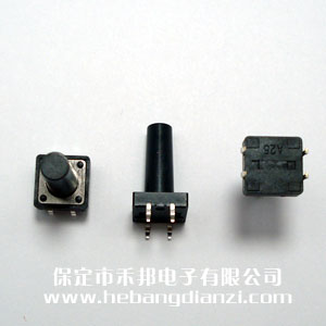 輕觸開(kāi)關(guān)12*12*21mm