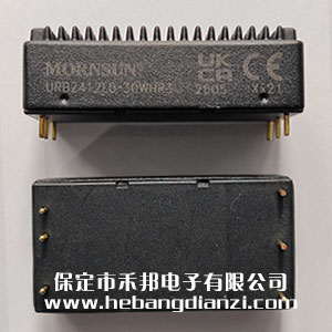 URB2412LD-30WHR3 帶散熱片